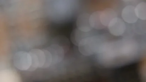 Circuit Board Mixed Focus Stock Footage 164379452