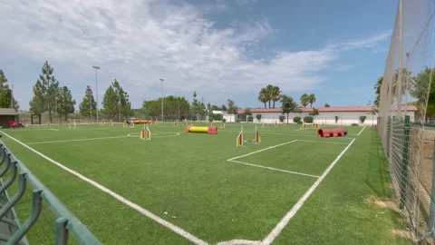 Circuit for dogs - Slow Motion Stockbeeldmateriaal 202302213