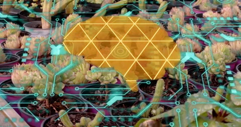 Circuit graphics sliding to scan succulents while polygonal brain icon pulsing Stock Footage 315763863