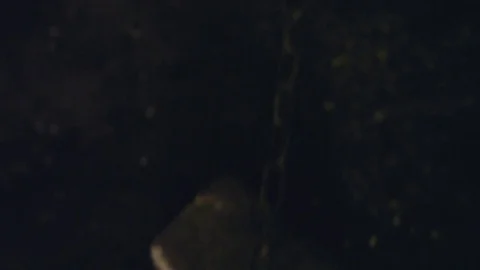 Circuit for torture Video stock 74359202