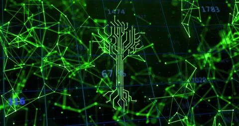 Circuit tree design with green digital network and data processing animation Stock Footage 303555970