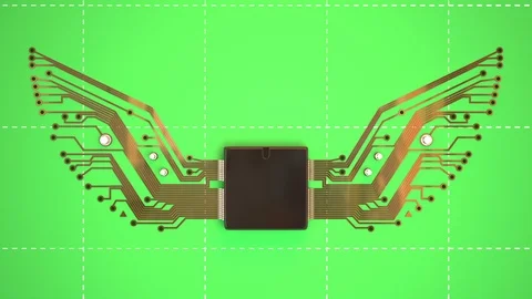 Circuit Wings Animation Видео 86866610