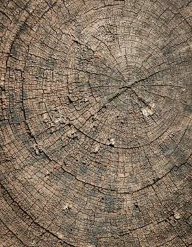 Circular Abstract Brown Background Stock Photos