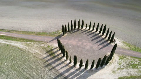 Circular aerial view of cypress ring in Val D'Orcia. Stock-Footage 171066989