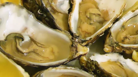 Circular Aerial View of Fresh Open Oysters on a Plate Stock Footage 278958023