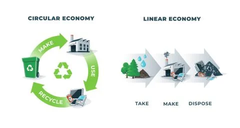 Circular and Linear Economy Compared Stock Illustration