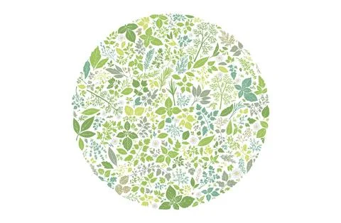 A circular arrangement of herb pattern elements. Stock Illustration