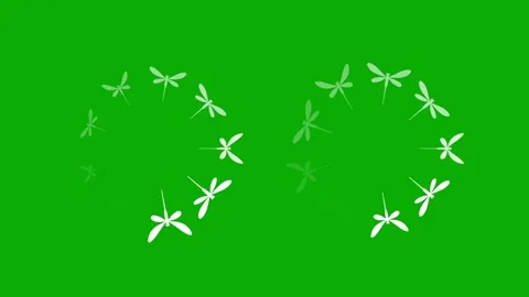 Circular buffering white dragonflies green screen motion graphics Stock Footage 297858924