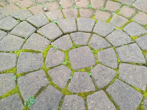 Circular cobblestone pavement pattern with moss and small weeds growing bet.. Stock Photos