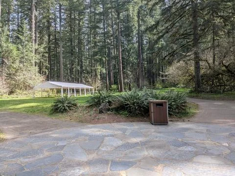 Circular concrete gathering area with intersecting pathways, picnic tables Photos