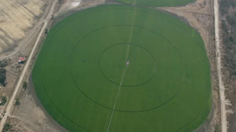 Circular crop fields Stock Footage 60073301