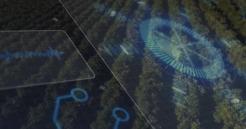Circular data chart hovering above orchard rows, displaying grid overlay and Stock Footage 307432575