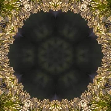 Circular design with copy space made from white flowers with dome shape design Foto stock