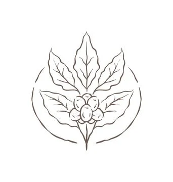 A Circular Emblem Featuring A Coffee Plant Branch With Berries Vector Illus.. イラスト素材