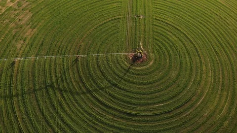 Circular Farming Sprinkler Pattern on Hay Field in Sierra Valley CA - Aerial Stock Footage 114264537