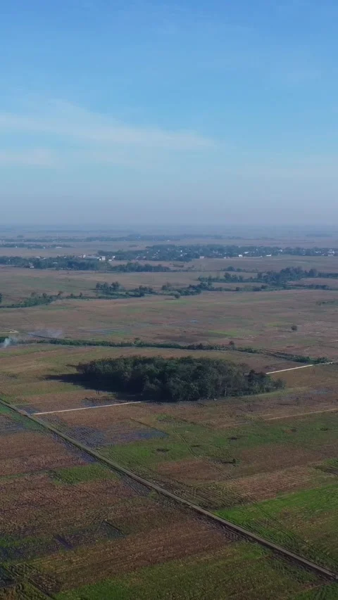A circular field with a small tree in the center 스톡 동영상 319109851