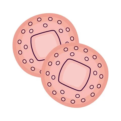 Circular first aid bands イラスト素材