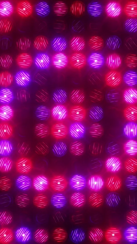 Circular flashes of a blue rose red light wall Stock Footage 304636522