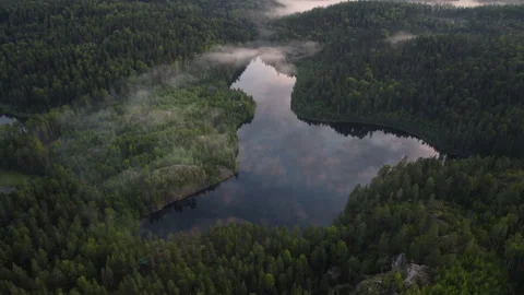 Circular flight around the forest picturesque lake. Atmospheric view. a bit.. Stock Footage 249218749