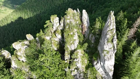 A circular flight over rocky cliffs, in the middle of green forests Stock Footage 281008146
