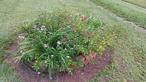 Circular flower bed Foto stock