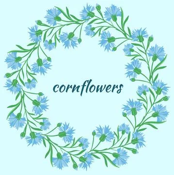 Circular frame with cornflowers. Delicate frame in a circle with wild blue Illustrazione stock