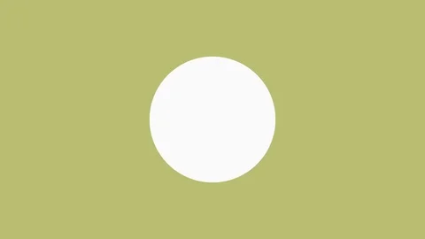 Circular frame with exotic leafs palms Stock Footage 112846645