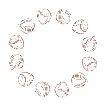 Circular frame with hazelnut arranged on a white background in a line art style Stock Illustration