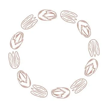 Circular frame with Pecan nut isolated on a white background in line art style Stock Illustration
