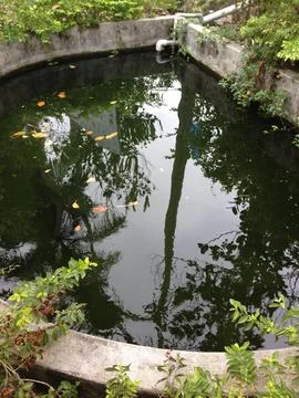 Circular Garden Pond With Reflections Foto stock
