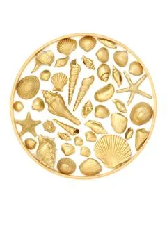 Circular Gold Shell Objects Decoration with Frame 写真素材
