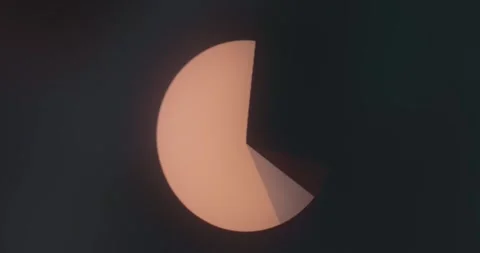 Circular graphic divided into slices, pie chart Stock-Footage 313865960