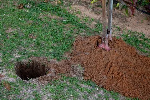 Circular hole in the ground and the tool to make it. Stock Photos