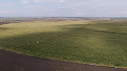 Circular irrigation of a corn field. aerial view Stock Footage 251648761