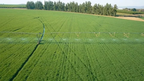 Circular irrigation system in green field drone shot panning along pipes Vídeo Stock 81201952