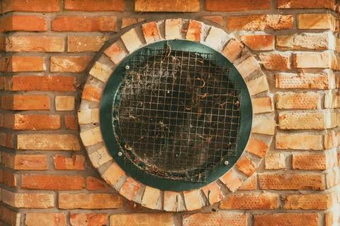 Circular metal-framed window with protective mesh grid, foliage debris and .. Stock Photos