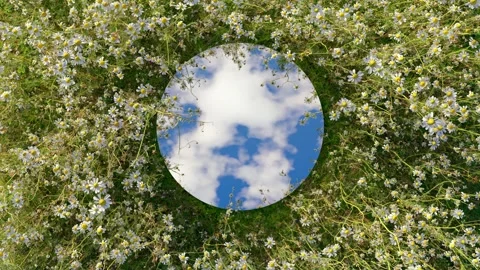 Circular mirror surrounded by meadow flowers reflecting moving white clouds Stock Footage 331072475
