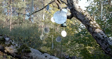 Circular mirrors hanging in garden tree 스톡 동영상 163155896