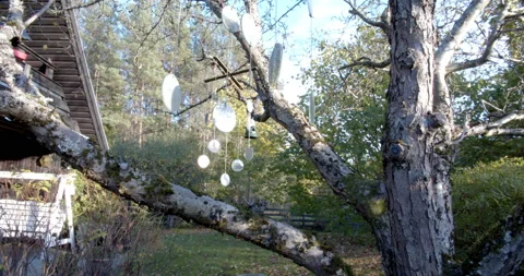Circular mirrors hanging in garden tree 스톡 동영상 163155944