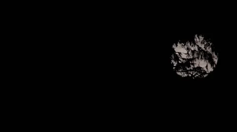 Circular moon seen through the branches of a tree, the root of which a dog 12 Stock Footage 59757112