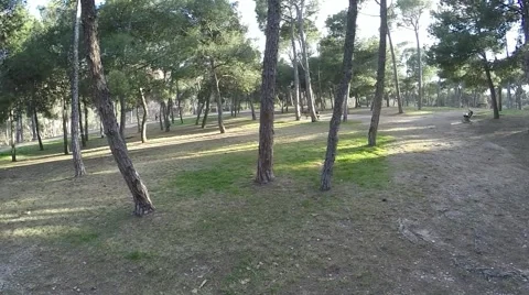 Circular motion around the park with trees on a sunny day 스톡 동영상 47966418