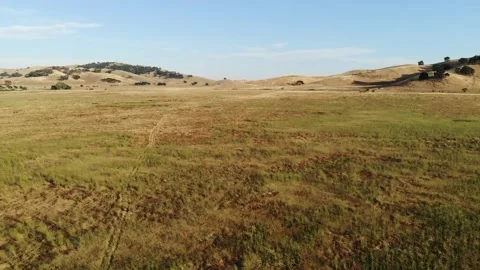 Circular Motion of Drone Grass Field Prarie California Land- Stock Footage 145432856