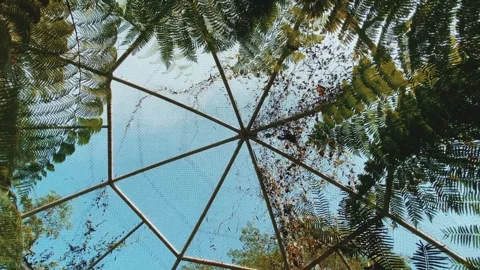 Circular motion of the garden Stock Footage 277013657