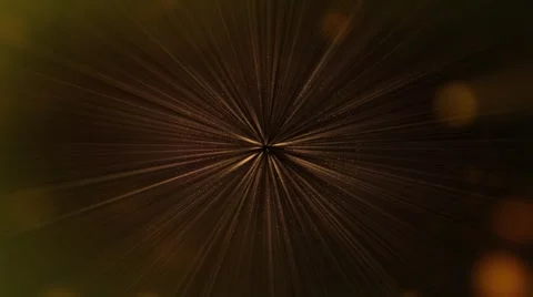 Circular Motion Golden Rays Overlay Video Effect 4K Stock Footage 306753853