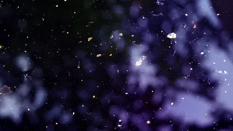 Circular motion of particles on a dark background Stock Footage 135997649