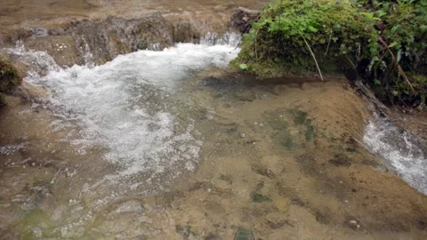 Circular movement of the camera over the forest stream Stock Footage 346651188