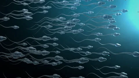 Circular movement forward of plenty of transparent sperm cells Stock Footage 201447875