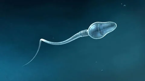 Circular movement forward of a single, slightly transparent sperm cell Stock Illustration