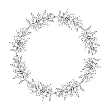Circular olive branch frame Cop space Template botanical engraving Mediterranean Stock Illustration