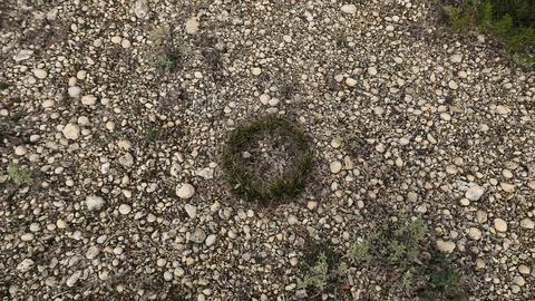 Circular Patch of Grass in Rocky Landscape Stock Photos